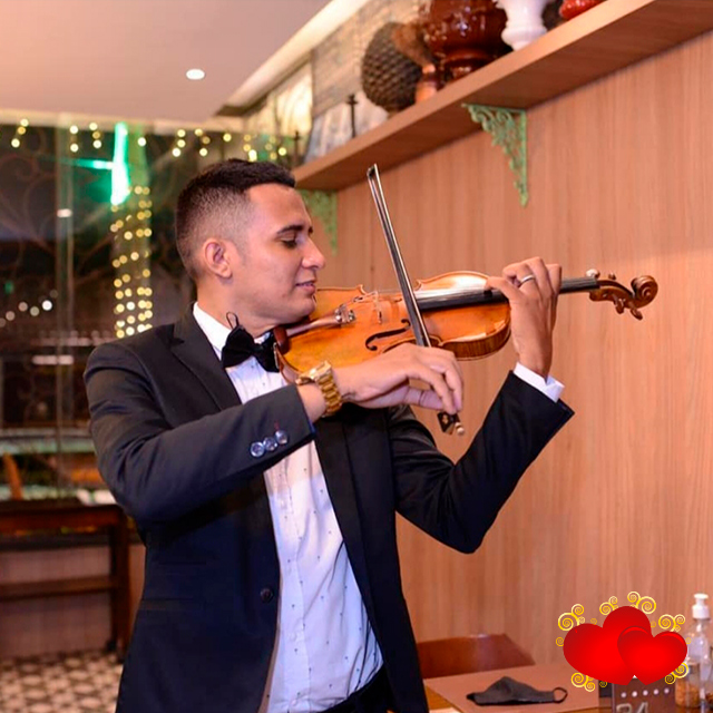 homenagem violino novo amor